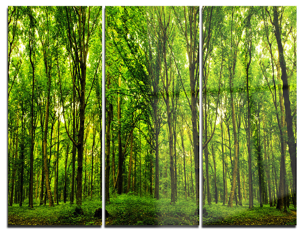 "Green Forest" Photo Metal Wall Art, 3 Panels, 36"x28"