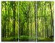 "Green Forest" Photo Metal Wall Art, 3 Panels, 36"x28"