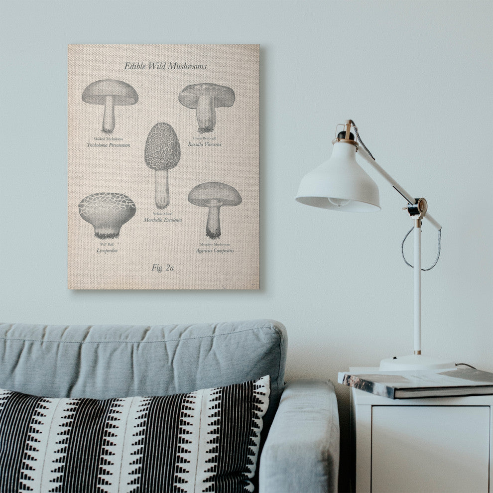 Edible Wild Mushrooms Vintage Drawing Design, 30"x40"