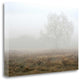 "Oak Tree - 28" By Alan Blaustein, Giclee Print on Gallery Wrap Canvas