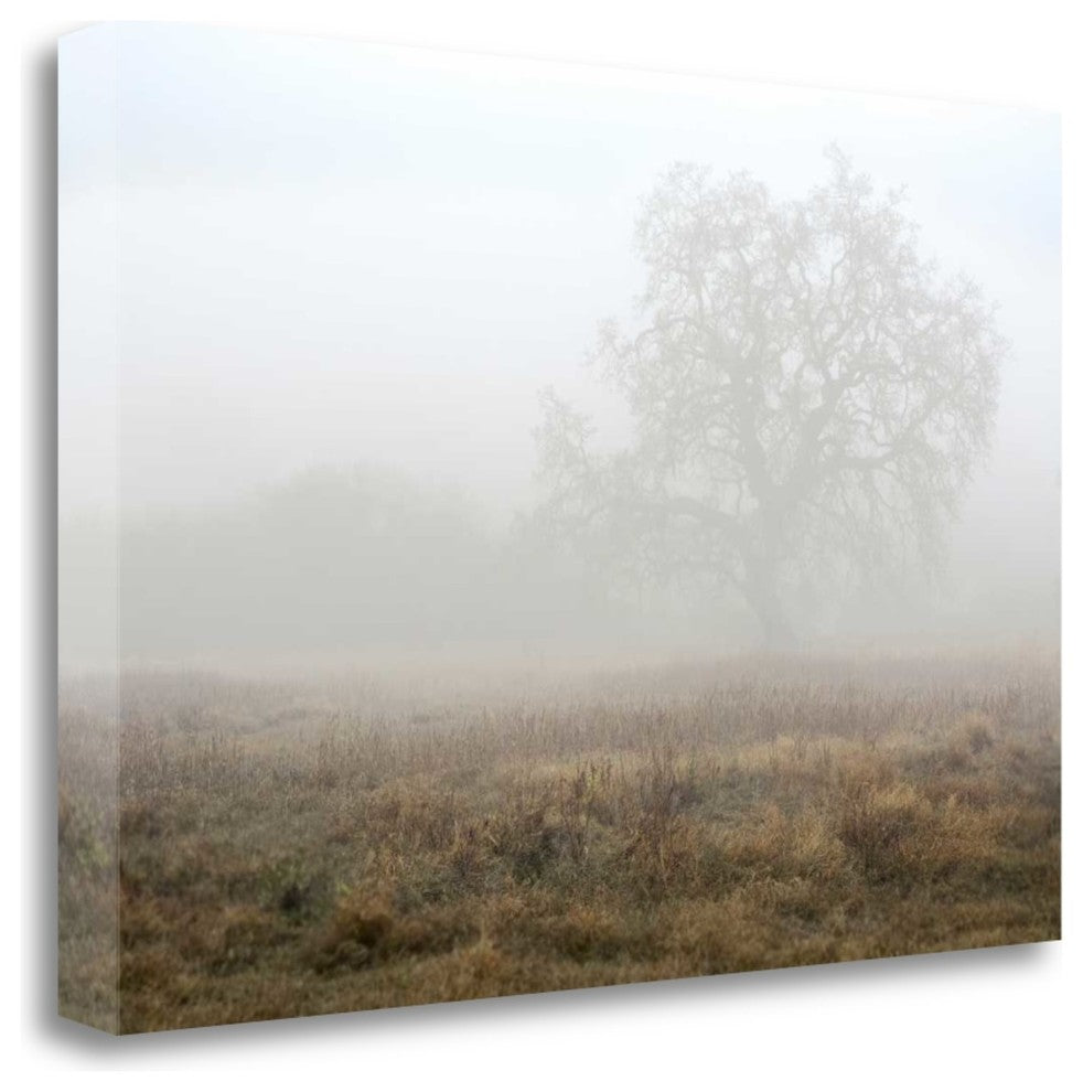 "Oak Tree - 28" By Alan Blaustein, Giclee Print on Gallery Wrap Canvas