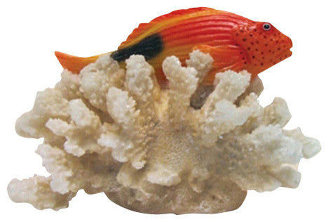 Fish in Coral Sculpture