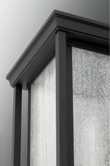 Endicott Collection 1-Light Hanging Lantern, Black