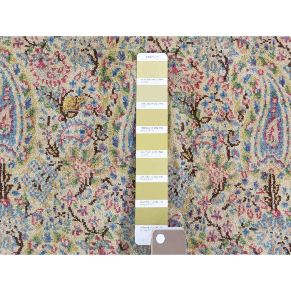 Ivory Antique Persian Kerman, Full Pile Exc Condition Wool Rug, 10'0" x 13'0"