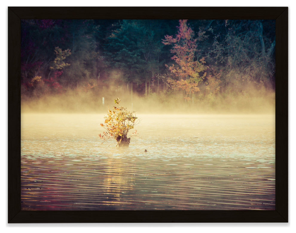 Golden Mist on Waples Pond Framed Photo Paper Wall Art Prints, Black, 11" X 14"