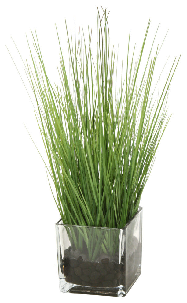 WaterlookÂ® Two Tone Green Grass in Square Glass Cube