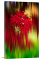 "Red Instrumental" Wrapped Canvas Art Print, 16"x24"x1.5"