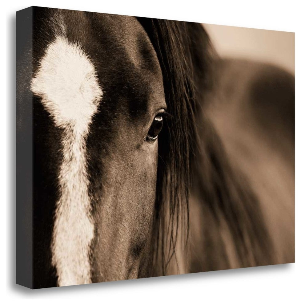"Dark Eyes" By Lisa Dearing, Giclee Print on Gallery Wrap Canvas, Ready to Hang