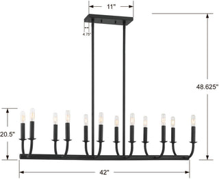 Crystorama Lighting Group BAI-A2112 Bailey 12 Light 42"W Linear - Matte Black