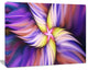 Purple Yellow Rotating Flower, Floral Canvas Art Print, 20"x12"