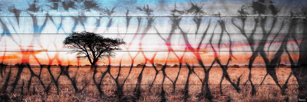 "African Landscape" Print on White Wood, 45"x15"