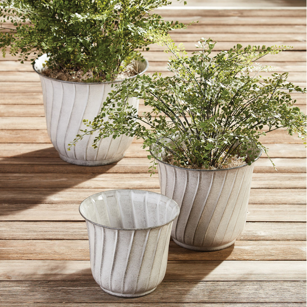 Faux Maiden Hair Fern Drop-In Plant