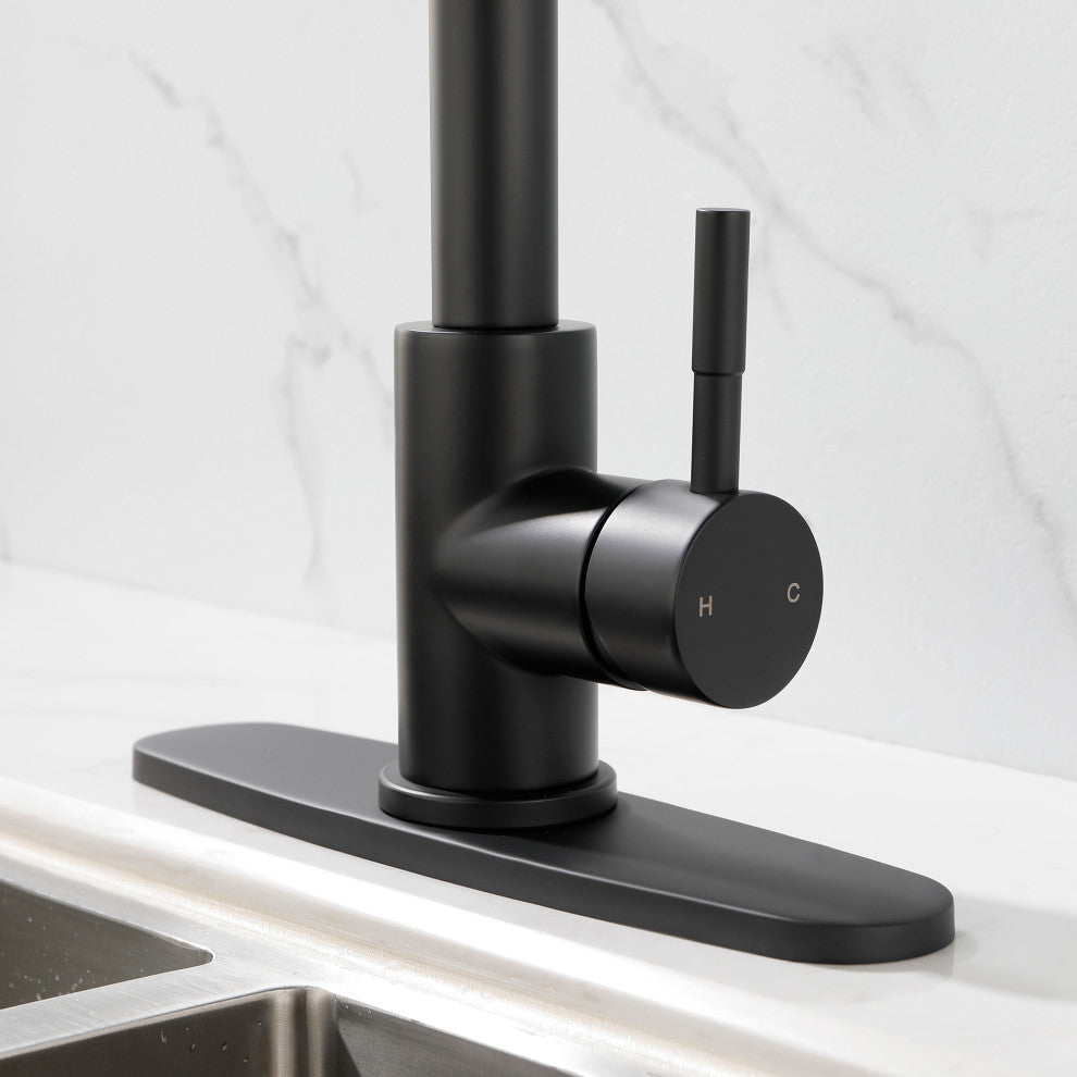 Wellfor Stainless Steel Kitchen Sink Faucet with Pull Down Spray, Matte Black