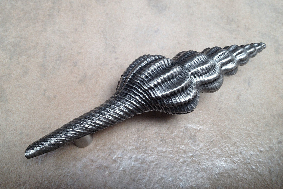 Turrid Sea Shell Pull, Antique Brass