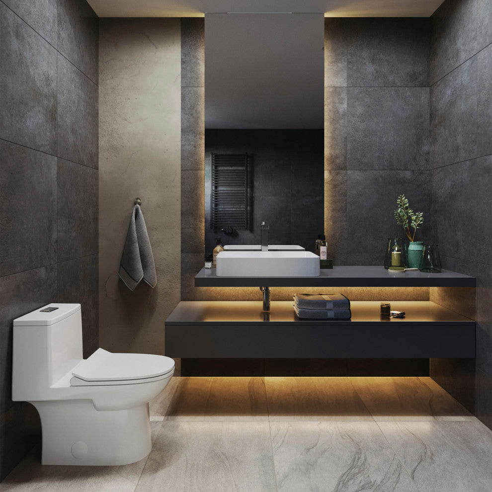 Daxton One Piece Elongated Dual Flush Toilet 1.1/1.6 GPF