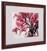 'Glowing Tones' Matted Framed Canvas Art by Philippe Sainte-Laudy