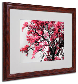 'Glowing Tones' Matted Framed Canvas Art by Philippe Sainte-Laudy