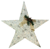 36" Lighted 2.5-D Country Rustic Birch Star Christmas Decoration, Clear Lights