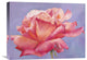 "Velluto" Stretched Canvas Giclee by Luca Villa, 24"x18"