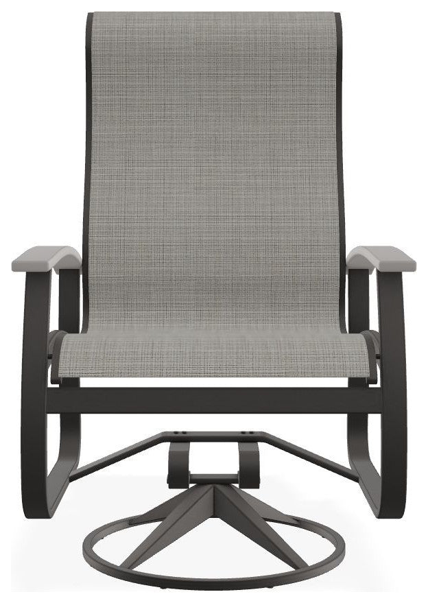 Belle Isle Sling Outdoor Swivel Rocker, Deacon/Warm Gray