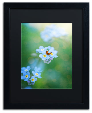 Philippe Sainte-Laudy 'Forget-Me-Not' Matted Framed Art, 16x20