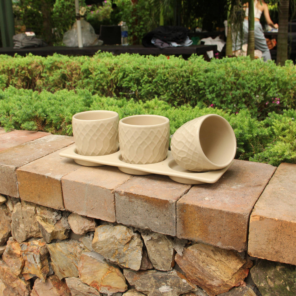 Dahlia Planter Set with Disk, Cream