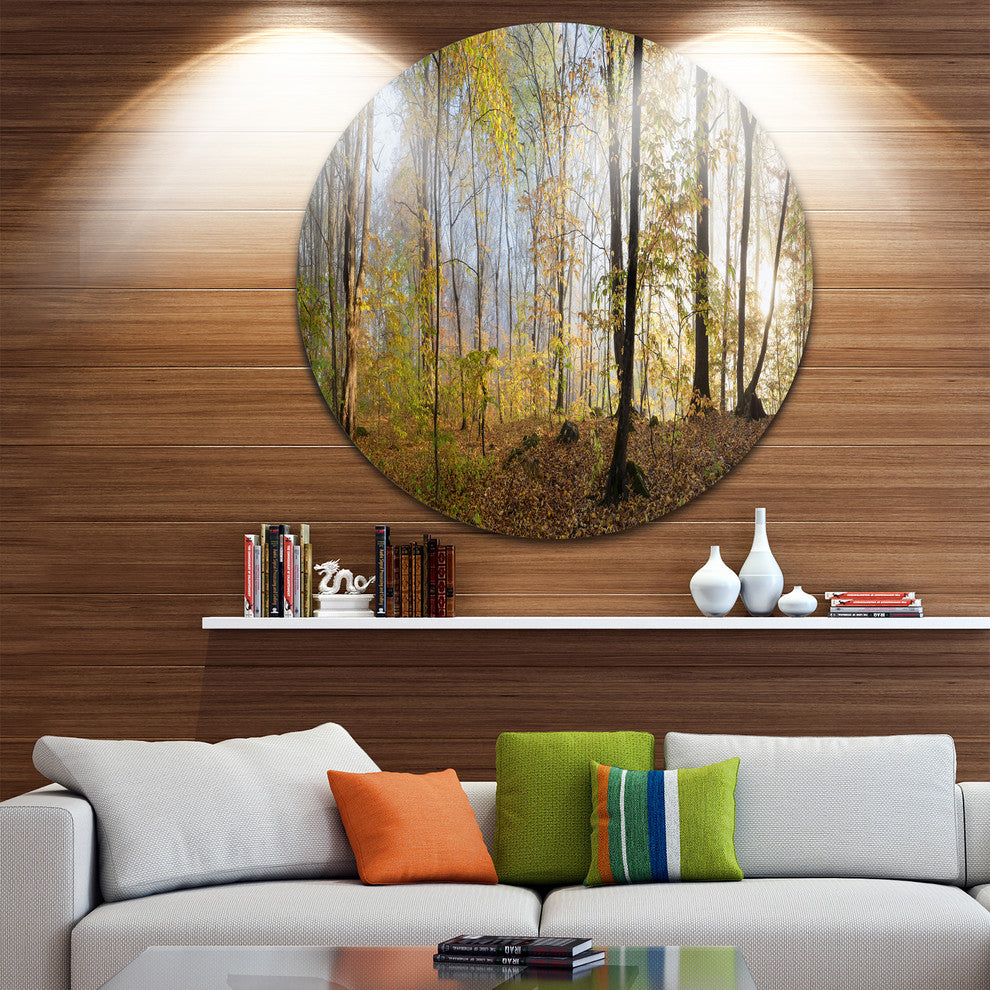 Green Autumn Forest In Morning, Landscape Photo Disc Metal Artwork, 11"