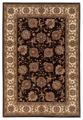 Aiden Traditional Vintage Inspired Brown/Ivory Rug, 8' Square