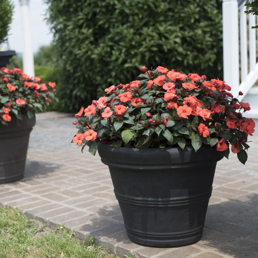 Brunello Planter, Black, 16"