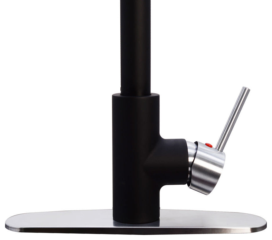 Kitchen Faucet Pull Down Dual Spray Hand Shower, Black/SS