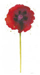 "Splash II with Gold" Digital Paper Print by Shirley Novak, 32"x62"