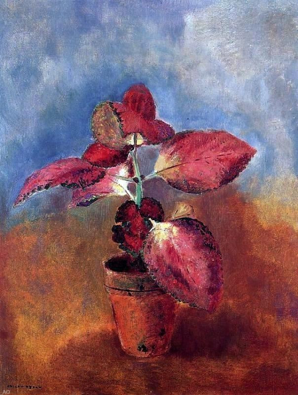 Odilon Redon Begonia in a Pot, 21"x28" Wall Decal Print