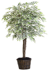 6' Varigated Smilax Deluxe