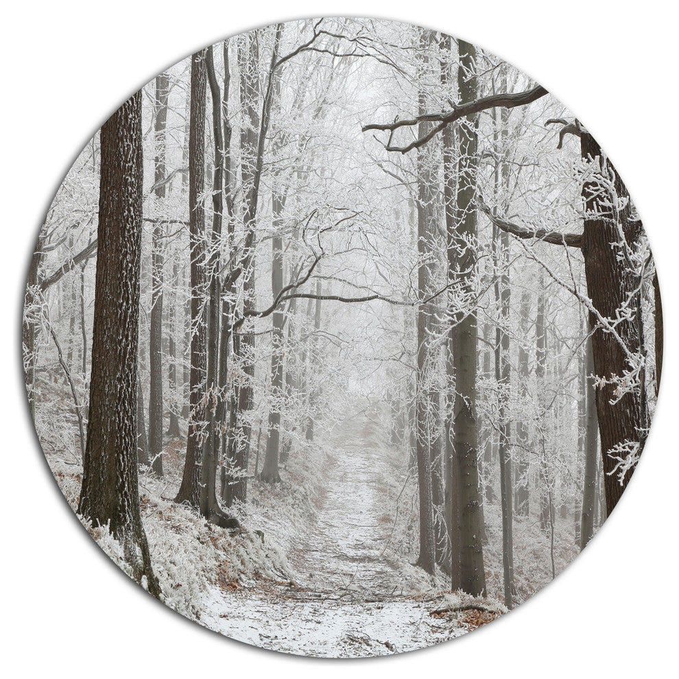 Forest Trail On Winter Morning, Forest Round Wall Art, 23"