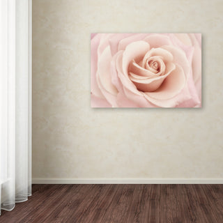 Cora Niele 'Peach Pink Rose' Canvas Art
