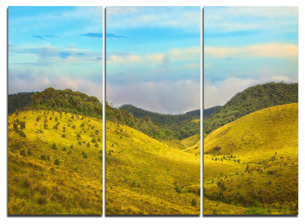 "Horton Plains Under Blue Sky" Oversized Metal Wall Art, 3 Panels, 36"x28"