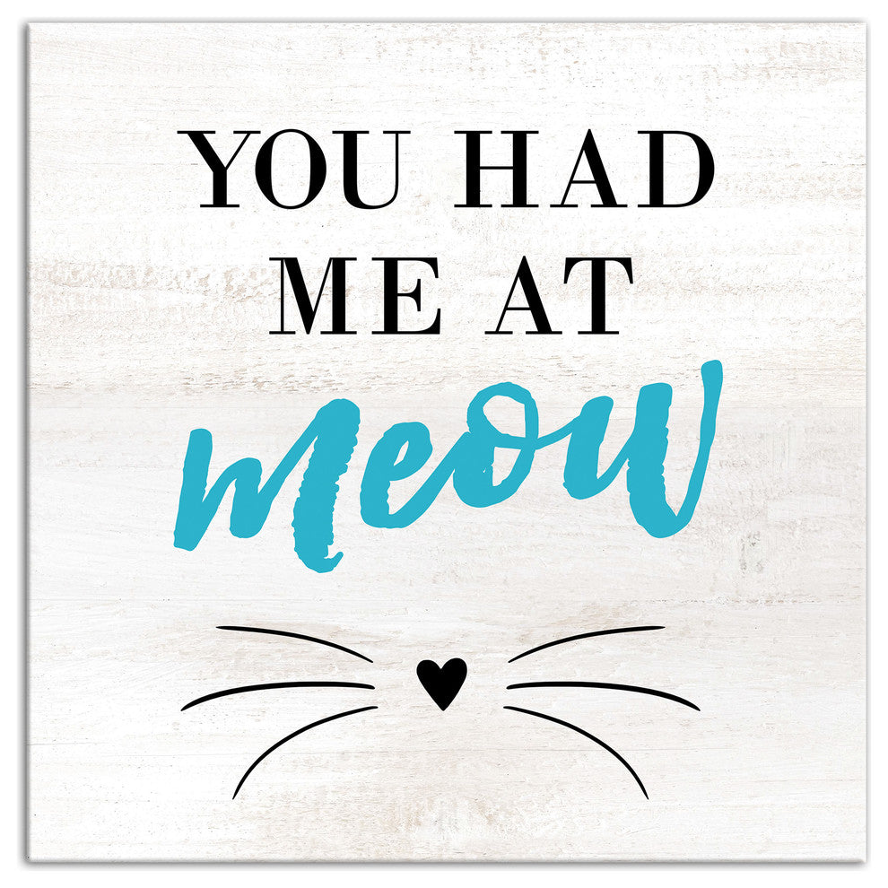 Designs Direct Had Me At Meow 16x16 Canvas Wall Art