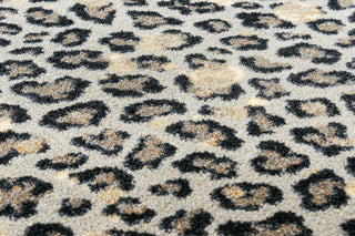 Wild Thing, 5'x8'