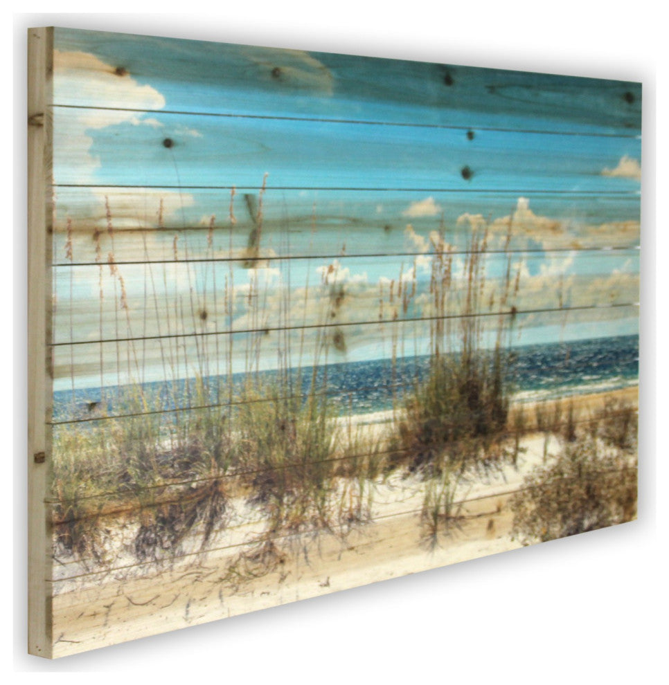 48" Ocean Sand Dunes Wood Plank Wall Art