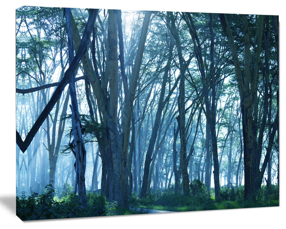 Dense Rain Forest on Foggy Day, Oversized Landscape Canvas Art, 20"x12"