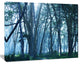 Dense Rain Forest on Foggy Day, Oversized Landscape Canvas Art, 20"x12"