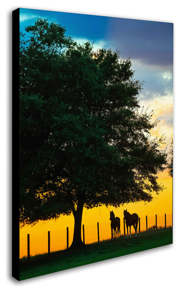 'Horse Sunset' Canvas Art by Preston