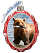 Grizzly Bear fishing Keepsake Glass Ornament