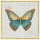 "Bohemian Wings Butterfly VIA" Digital Paper Print by Daphne Brissonnet, 20"x20"