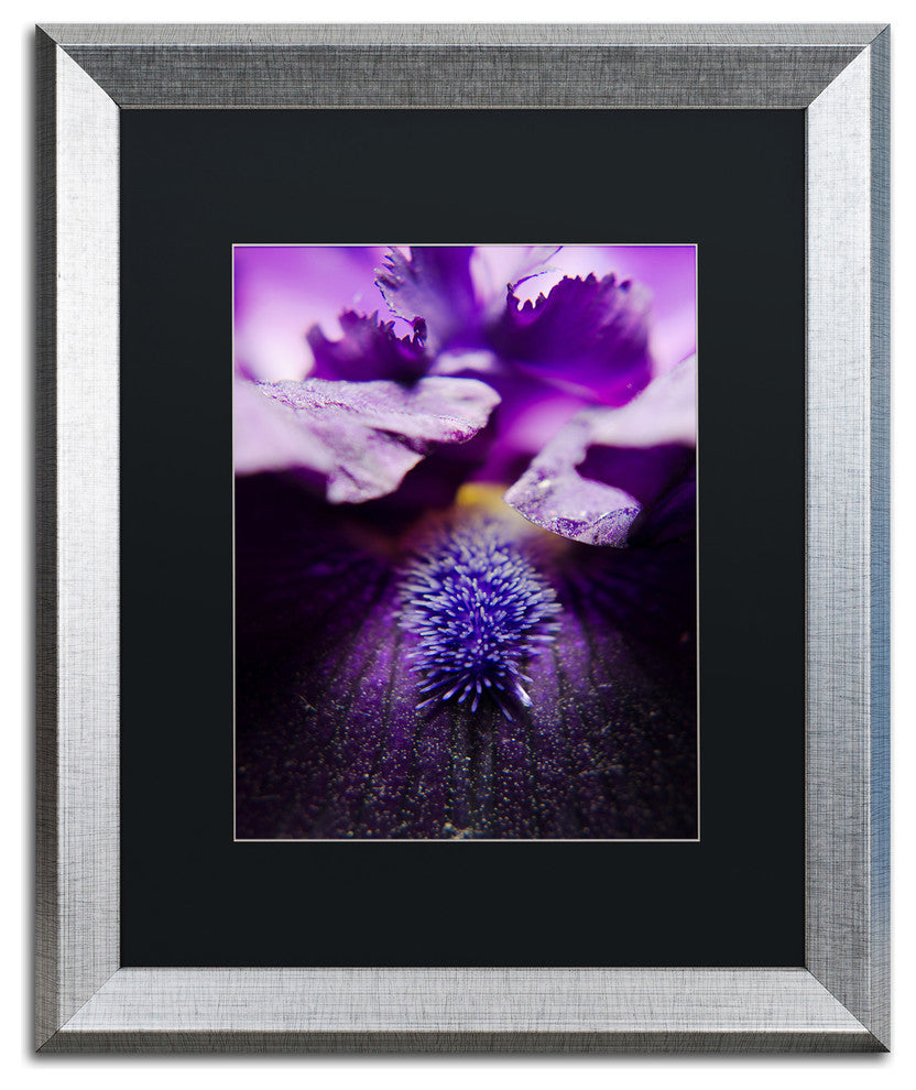 PIPA Fine Art ''Stigma of Iris'' Matted Framed Art, 20x16