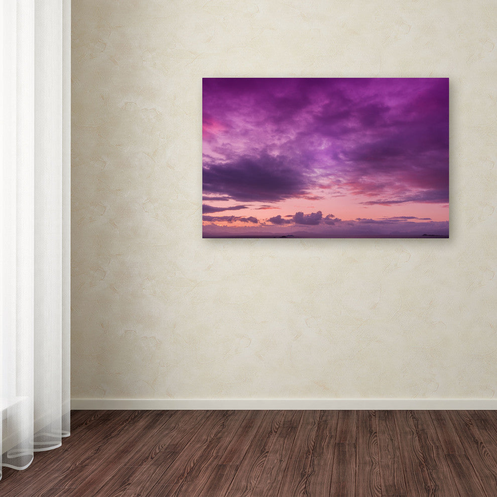 'Fool in Love' Canvas Art by Philippe Sainte-Laudy