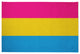 Pansexual Chenille Rug, Pansexual, 4'x6'