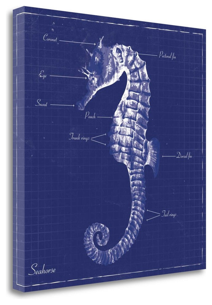"Blueprint Seahorse" By Piper Ballantyne, Giclee Print on Gallery Wrap Canvas