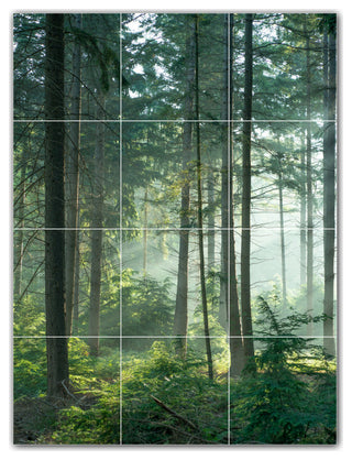 Trees Ceramic Tile Wall Mural HZ501009-34M. 18" x 24"
