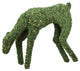 42" Pre-Lit Boxwood Reindeer Outdoor Christmas Decoration